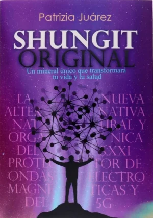 Shungit original